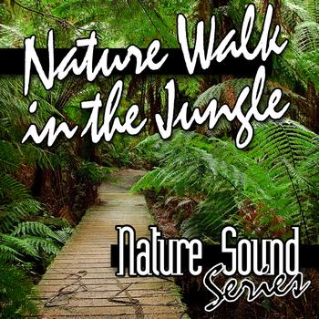 Nature Sound Series - Nature Walk in the Jungle (Nature Sounds)