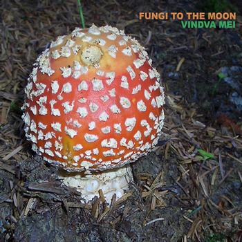 Vindva Mei - Fungi To The Moon