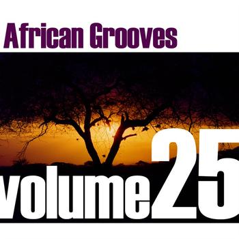 Various Artists - African Grooves Vol.25