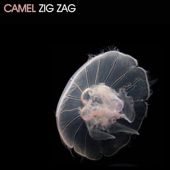 Camel - Zig Zag EP