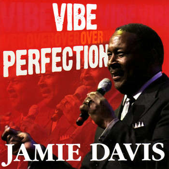 Jamie Davis - Vibe over Perfection