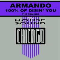 Armando - 100 % of Disin U - Remixes