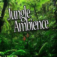 Atmosphere Collection - Jungle Ambience (Nature Sounds)
