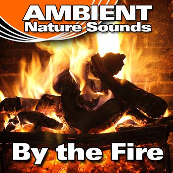 Ambient Nature Sounds - By the Fire