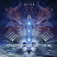 Magnetrixx - Wired (Vinyl)