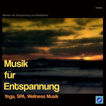 Meister der Entspannung und Meditation - Musik für Entspannung - Yoga, SPA , Wellness Musik