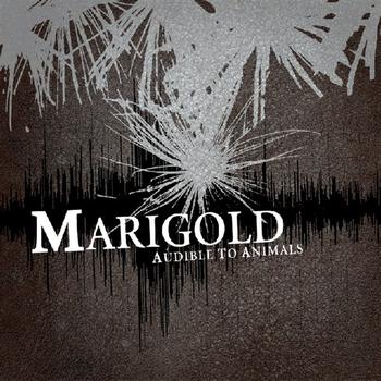 Marigold - Audible To Animals