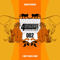Nacho Penades - I Don´t Need U Now