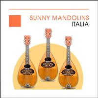 Angelo Petisi - Sunny Mandolins - Italia - Italy