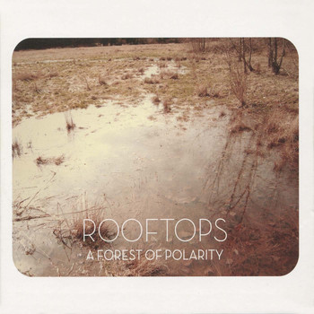 Rooftops - A Forest of Polarity