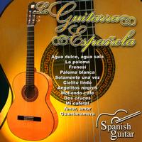 Guitarra Flamenca: Domi de Ángeles - Spanish Guitar, Guitarra Española 1