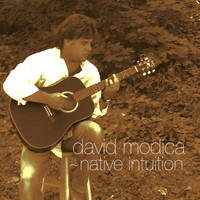 David Modica - Native Intuition