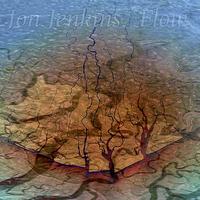Jon Jenkins - Flow