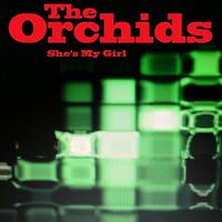 The Orchids - She's My Girl