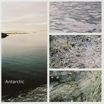 Antarctic - Antarctic