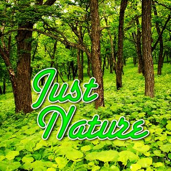 Sounds of Nature - Just Nature