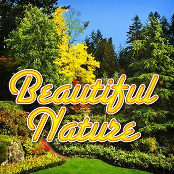 Sounds of Nature - Beautiful Nature