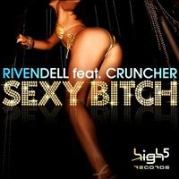 Rivendell feat. Cruncher - Sexy Bitch (Explicit)