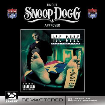 Ice Cube - Death Certificate (Explicit)