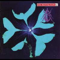 The Darling Buds - Crawdaddy
