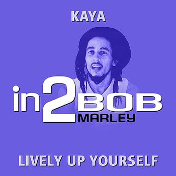 Bob Marley - in2Bob Marley - Volume 1
