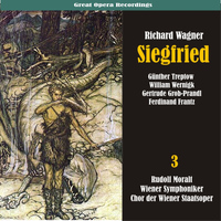 Wiener Symphoniker - Wagner: Siegfried, Vol. 3