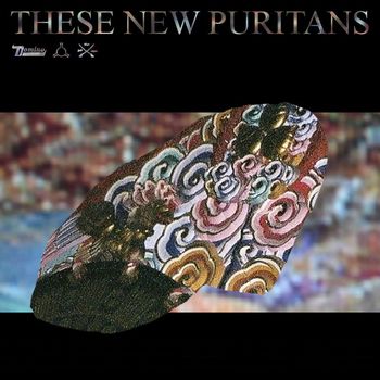 These New Puritans - Hologram