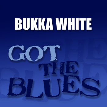Bukka White - Got the Blues