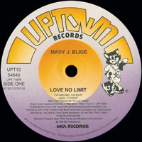 Mary J. Blige - Love No Limit (Remixes)