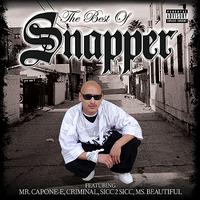 Snapper - The Best of Snapper (Explicit)