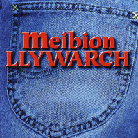 Meibion Llywarch - Meibion Llywarch