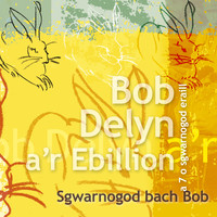 Bob Delyn A'r Ebillion - Sgwarnogod Bach Bob