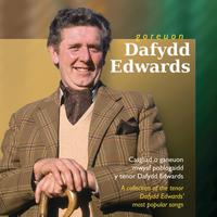 Dafydd Edwards - Goreuon Dafydd Edwards / Best Of Dafydd Edwards