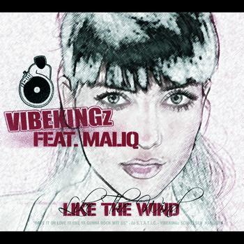 Vibekingz - Like The Wind (Digital Version 2)