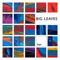 big leaves - Siglo