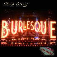 Giorgio Cuscito - Strip Ology