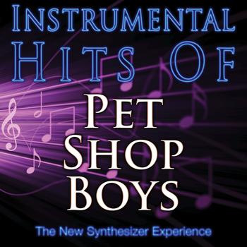The New Synthesizer Experience - Instrumental Hits Of Pet Shop Boys