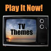 The TV Theme Players - Play It Now - TV Themes
