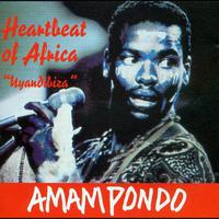Amampondo - Heartbeat of Africa Uyandibiza