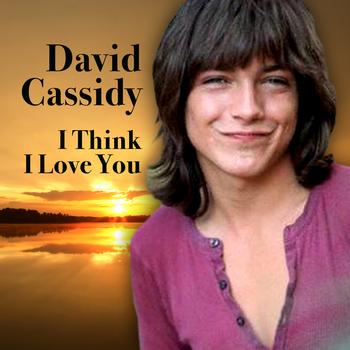 David Cassidy - I Think I Love You