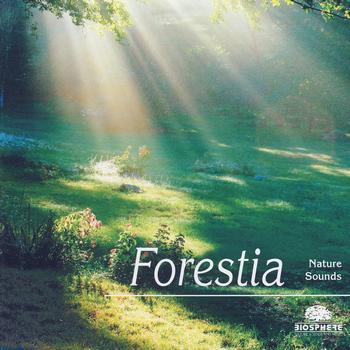 Nature Sounds - Sons de la nature - Forestia (Explicit)