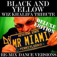DJ Mr. Miami - Black And Yellow (Wiz Khalifa Tribute) (Re-Mix Dance Versions)