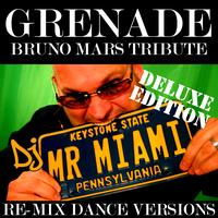 DJ Mr. Miami - Grenade (Bruno Mars Tribute) (Re-Mix Dance Versions)