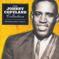 Johnny Copeland - Working Man's Blues