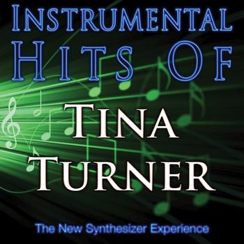 The New Synthesizer Experience - Instrumental Hits Of Tina Turner