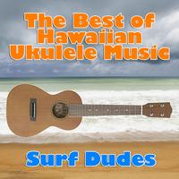 Surf Dudes - The Best of Hawaiian Ukulele Music