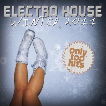 Various Artists - Electro House Winter 2011