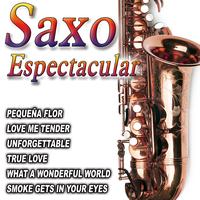 Orquesta Del Saxo - Saxo Espectacular