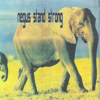Various Artists - Negus Stand Strong