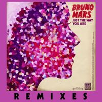 Bruno Mars - Just the Way You Are (Remix)